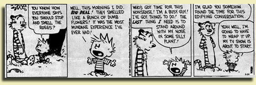 Calvin & Hobbes