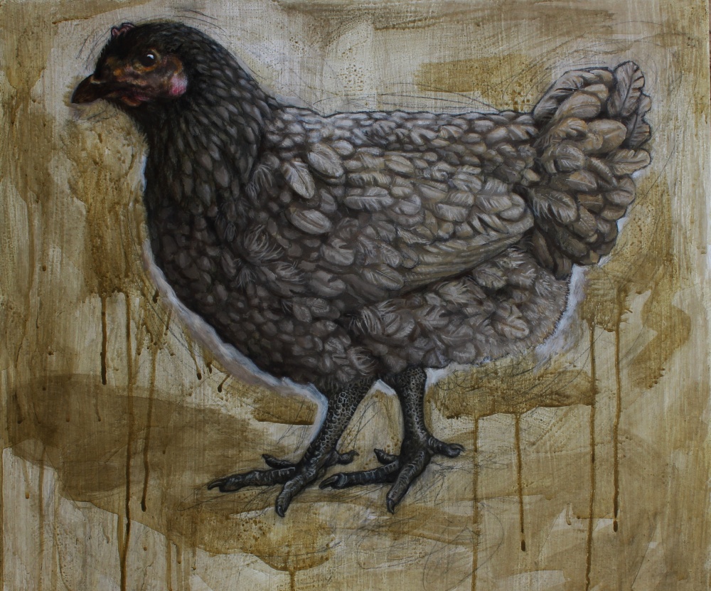 Grey hen