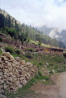 First glimpse of snow as we work our way to higher altitudes of the Hindukush.