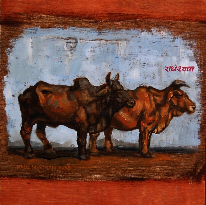 Do Ghai, Indian (Brahma) cows, oils on wood panel 12 x 12 inches (30 x 30 cm)