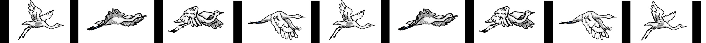 Cranes