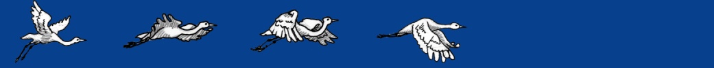 Flying cranes