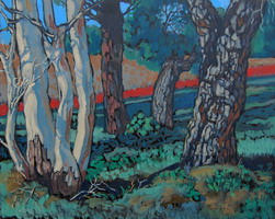 Eucalyptus & Pines, oils on panel 8 x 10 inches