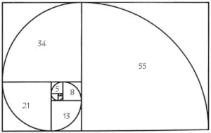 Fibonacci spiral