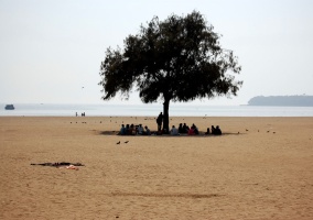 seeking shade on Bombay's Cowpatti beach 193