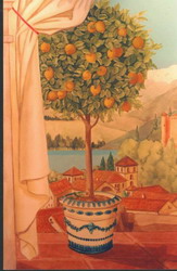 Detail of potted lemon tree.