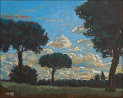 Pines at Sunset