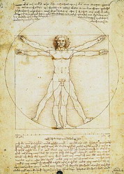 Click for enlargement