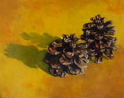 Pine cones Oils on panel 8 x 10 inches