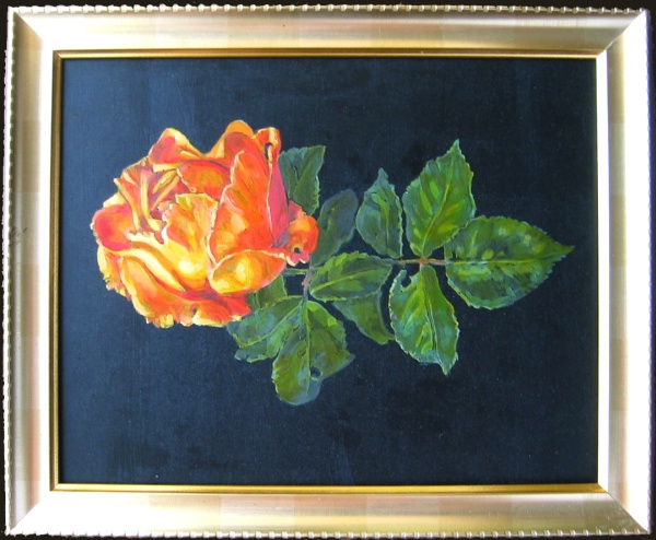 Rose, oils on board 8 x 10 inches (20 x 26 cm)