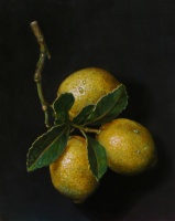 Lemons