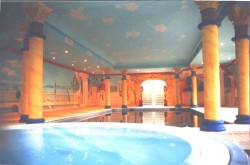Two views of the big room with interior swimming pool & Jacuzzi where we painted every surface but the floor, below, some details