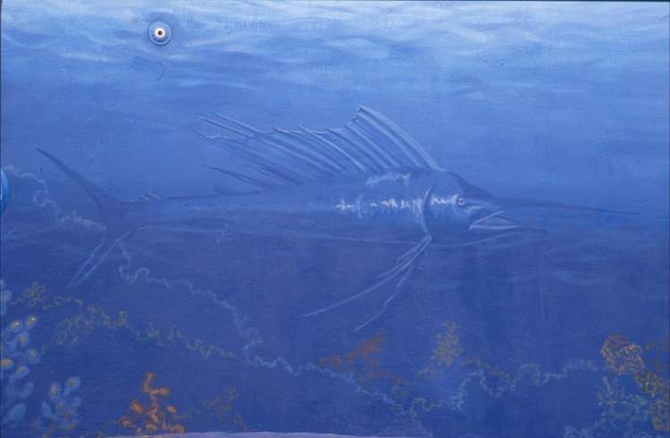 Swordfish