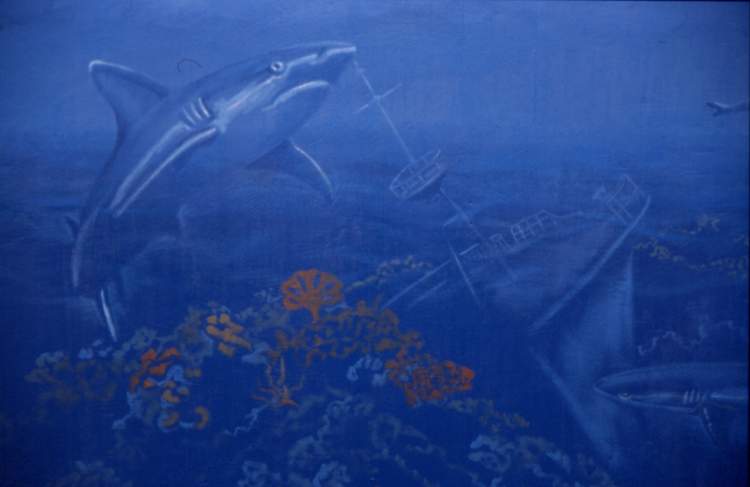 Shark & ship 2