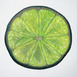 Lime slice, oils on paper  50 x 50 cm