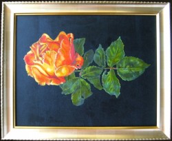 Rose. Oils on panel 30 x 45 cm