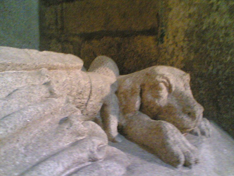 A dog at his master's feet