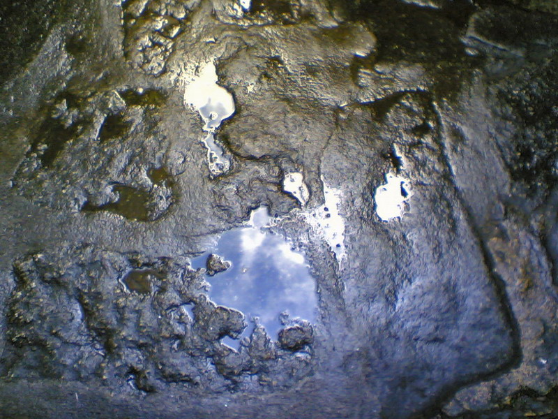 Another artsy-farsty shot- the puddle!